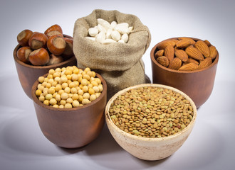 Natural products containing plant proteins.