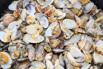 Steamed carpet shell clams