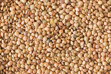 Castelluccio lentils background, traditional italian specialty.