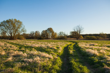 Path through fields of grass