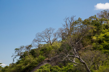Landschaft beim Berg Ta Cu in Vietnam