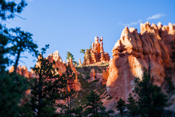 Naklejka premium Bryce Canyon
