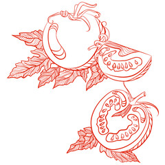 Monochrome drawing of tomatoes