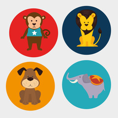 Circus carnival entertainment 