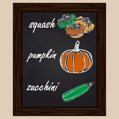 drawn  squash, pumpkin and zuccini
