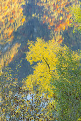 Autumn colors on the lake
