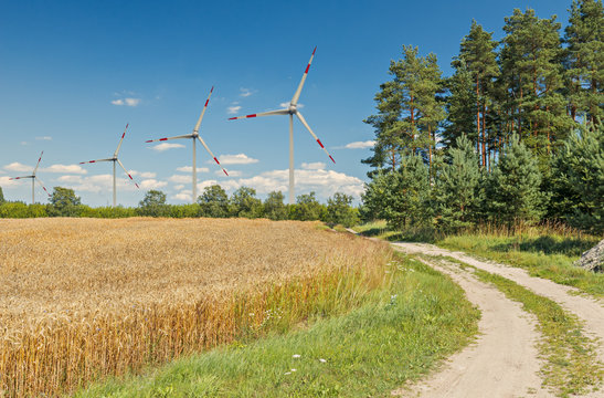 Countryside landscape with pine forest, field of rye and wind electric-turbines.  Conceptual image illustrating production both of ecologically clean food and  alternative sources of energy, Europe