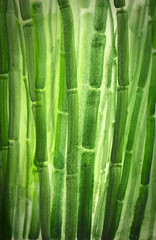 green bamboo