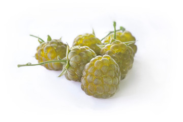 yellow raspberry isolated on white background