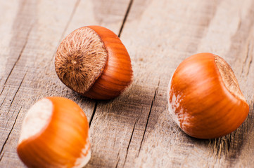 Fresh brown hazelnut
