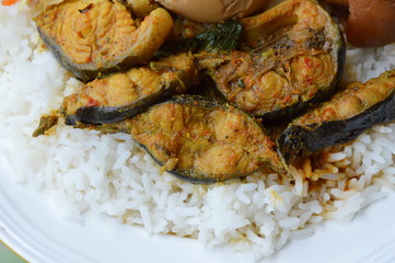 spicy curry catfish on plain rice