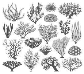 Coral formations Vector Silhouettes - 100046022