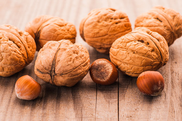 A mixture of walnuts and hazelnuts