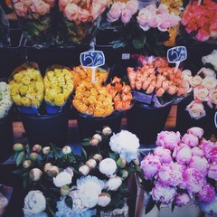 Flower Market at Nice,France