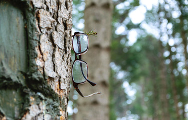 Eyeglasses hanging on the pine.