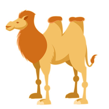 Cartoon yellow camel