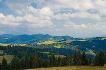 The Carpathian Waterfall Shypit