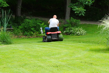 Mowing the Summer Lawn