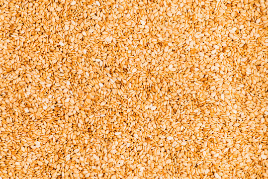 sesame yeezy shoes