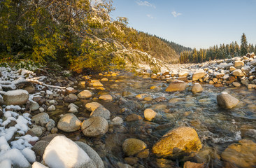 mountain stream in the Tatras