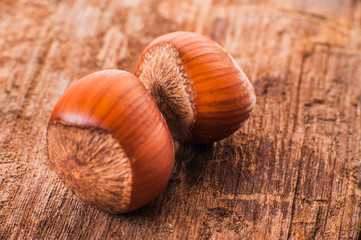 Fresh brown hazelnut