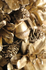 Christmas tree from the cones