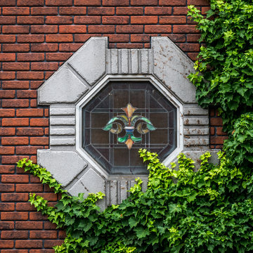 stained glass window with scount logo