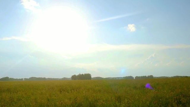 green rural field in a rays of sun in slowmotion 