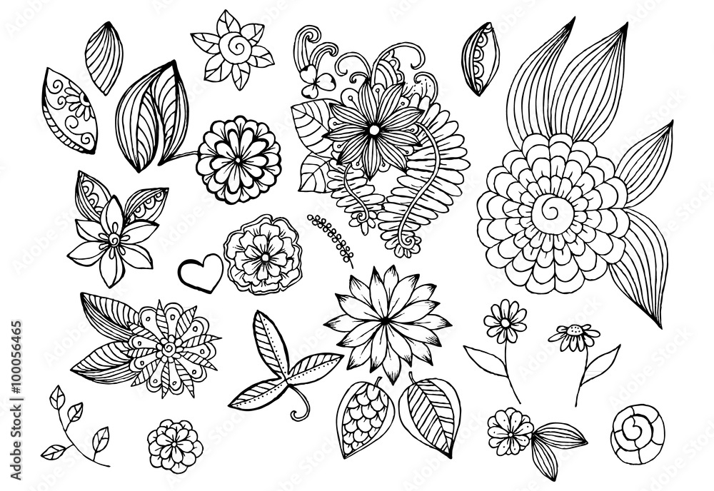 Poster set of hand drawing floral elements