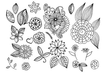 Set of hand drawing floral elements