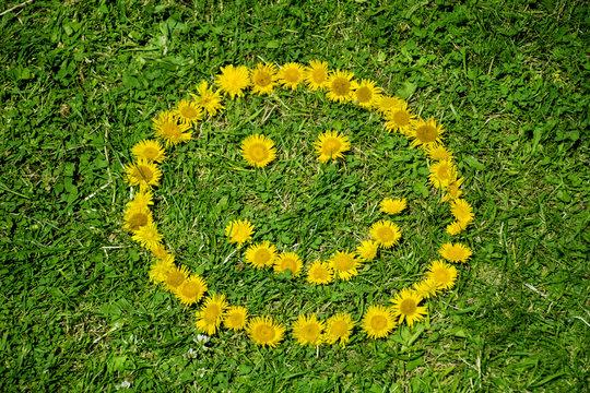 smiling face  on a green grass made with yellow flowers