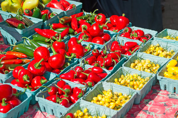 Peperoni e verdura al mercato all'aperto di Union Square, New York, raccolto di stagione, cibo,...