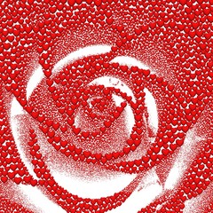 Valentine's day background with hearts. Rose, formed from 1500,000 red hearts on a white background. 