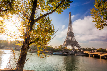 Fototapeta na wymiar Eiffel Tower with spring tree in Paris, France