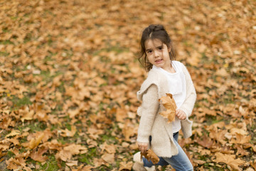 Little girl in the autumn park