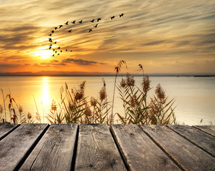 Fototapeta na wymiar amanecer en la orilla del lago