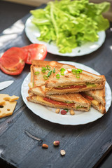 Cheese sandwich photo