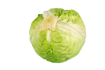 Fototapeta premium Cabbage isolated