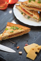 Cheese sandwich photo