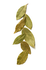 Aromatic bay leaves
