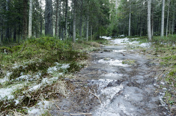 Ice path