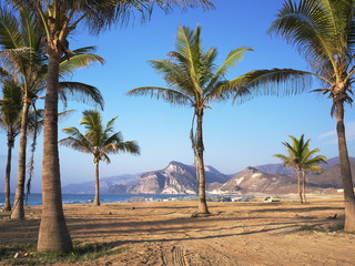 Omani coast in Al Mughsayl, Dhofar region, Oman