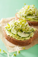 healthy avocado toast with cucumber radish sprouts