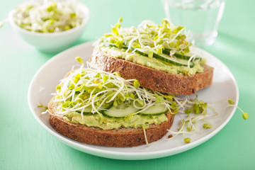 healthy avocado toast with cucumber radish sprouts