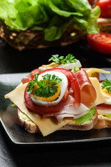 Delicious sandwich with prosciutto ham, cheese, tomato and egg