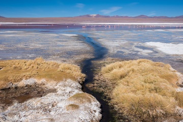 Laguna Colorada