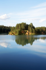 Naklejka premium Forest reflecting in lake