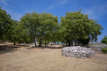 Fototapeta premium Platamon Castle in Greece