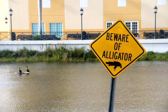 beware of alligator warning caution sign near water