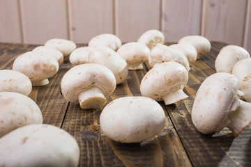 Many small agaricus